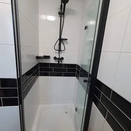 Tumski Free Parking Self Check-in 24h דירה פוזנן